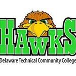 Delaware Technical Community College-Owens logo